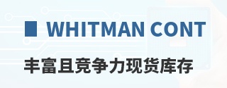 Whitman Controls�ḻ�Ҿ������ֻ����